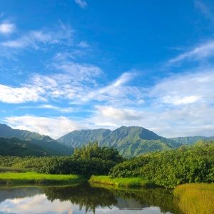 Meet your Posher, Savannah